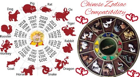 chinese zodiac love match|chinese zodiac opposites.